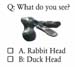 RabbitDuck