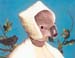KoalaHolbein