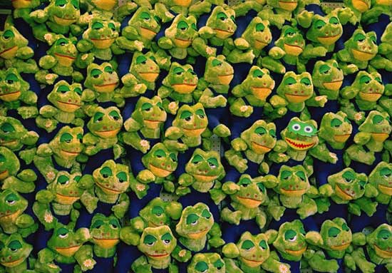 frogs