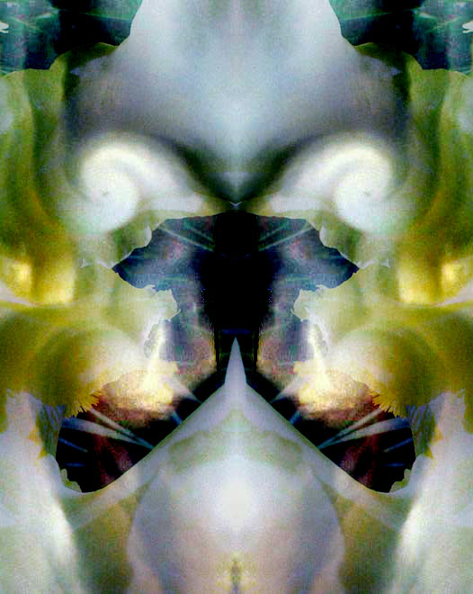 FlowerClouds