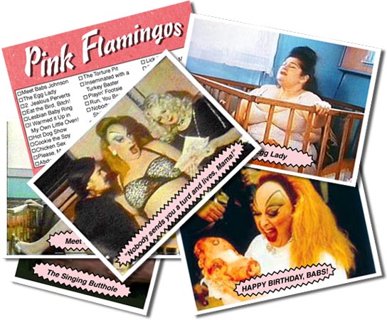 Flamingos